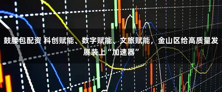 鼓腰包配资 科创赋能、数字赋能、文旅赋能，金山区给高质量发展装上“加速器”
