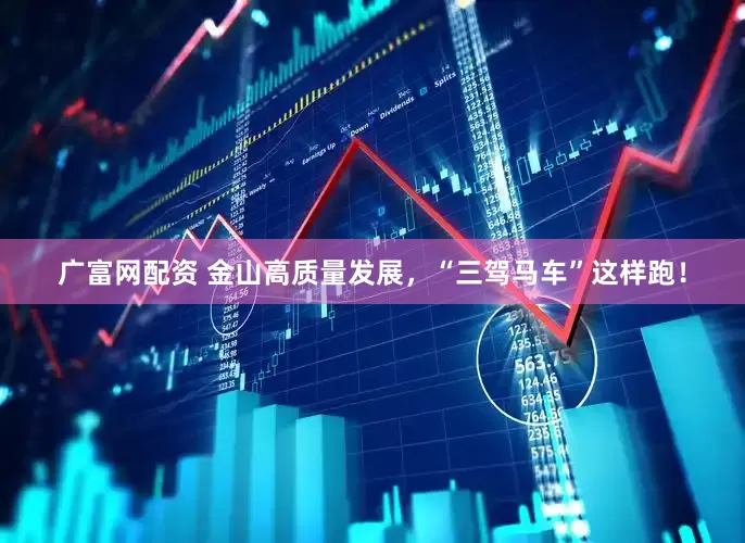 广富网配资 金山高质量发展，“三驾马车”这样跑！