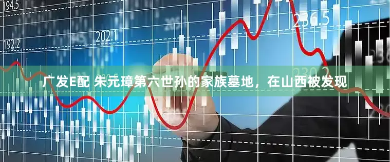 广发E配 朱元璋第六世孙的家族墓地，在山西被发现